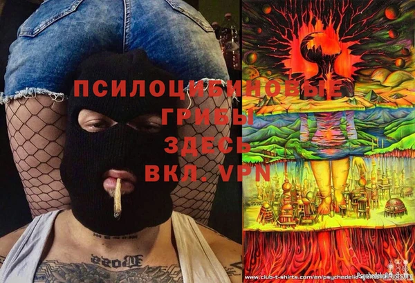 бошки Алексин