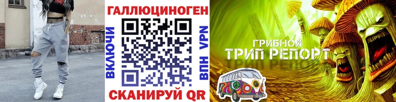 Псилоцибиновые грибы Cubensis  Купить где  Сычёвка 